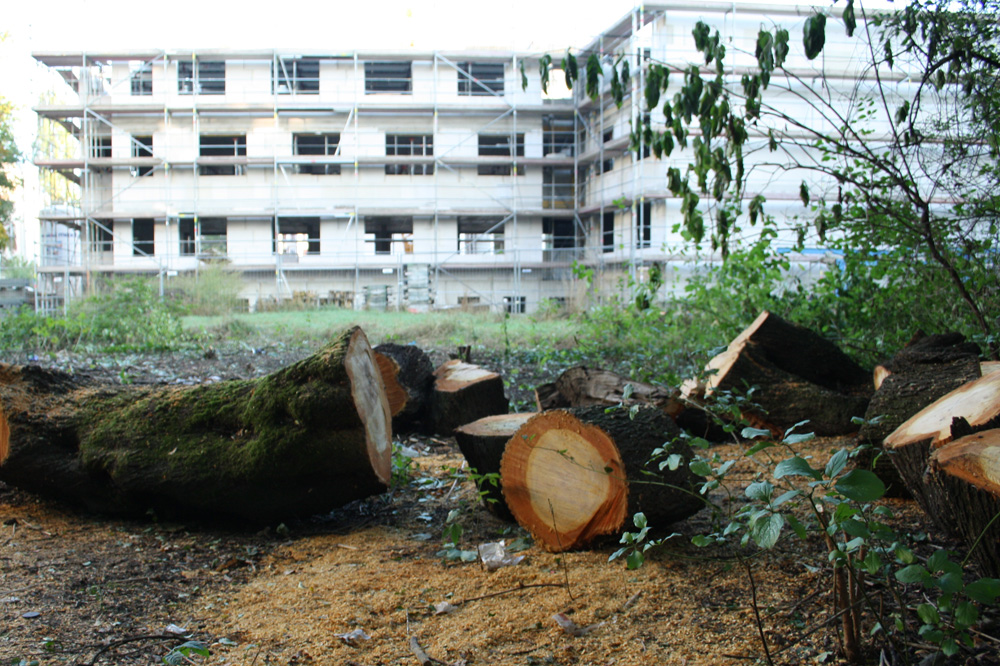 Wohnungsbau in Connewitz. Foto: Ralf Julke