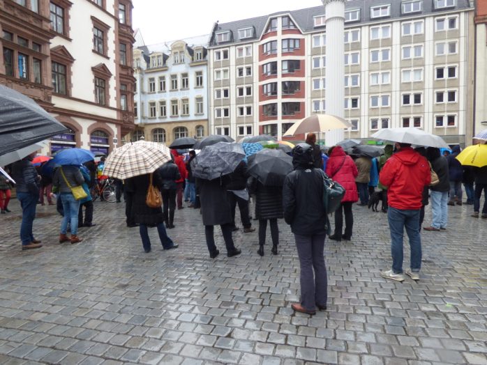 Geschätzt 200-250 Teilnehmer trotzten dem Regen. Foto: Lucas Böhme