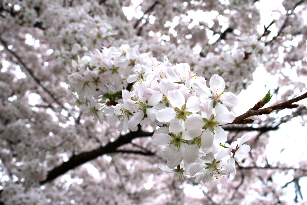 Na schau mal: Es geht weiter ... Foto: Ralf Julke