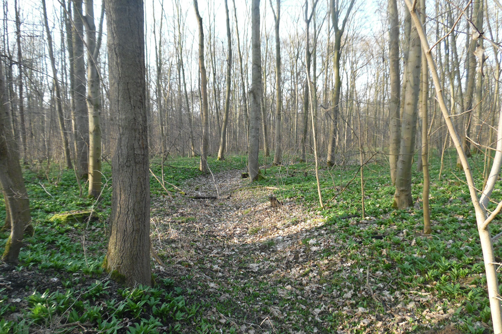 Burgaue. Foto: Maria Vlaic