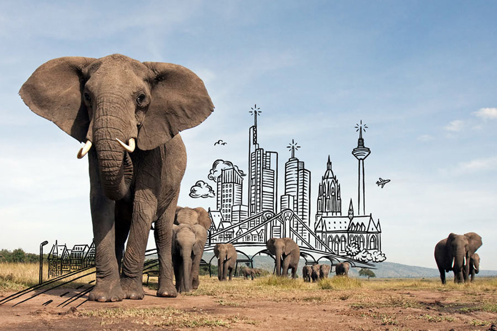 Wo der Klimawandel den Lebensraum der Tiere vernichtet, sind die Arten selbst gefährdet. © Anup Shah/WWF