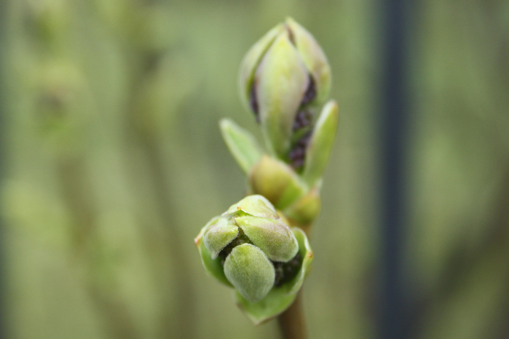 Braucht das Leben einen Sinn? Foto: Ralf Julke
