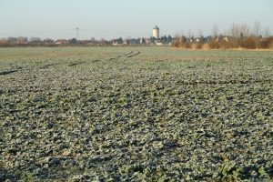 Fast schon ländlich: Lindenthal im Leipziger Norden. Foto: Ralf Julke