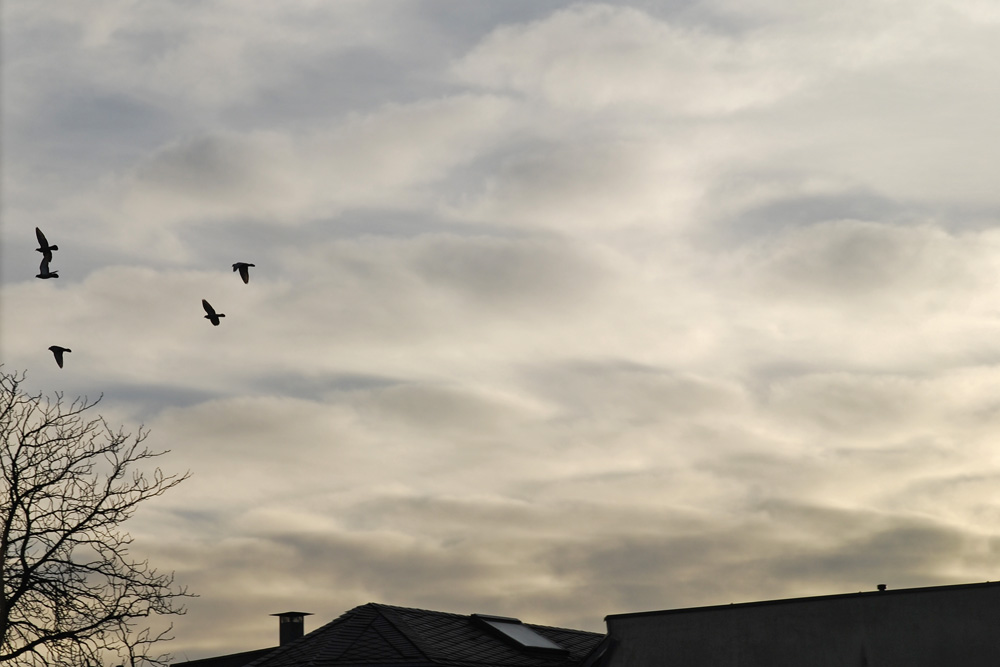Mehr Wetter bitte! Foto: L-IZ.de