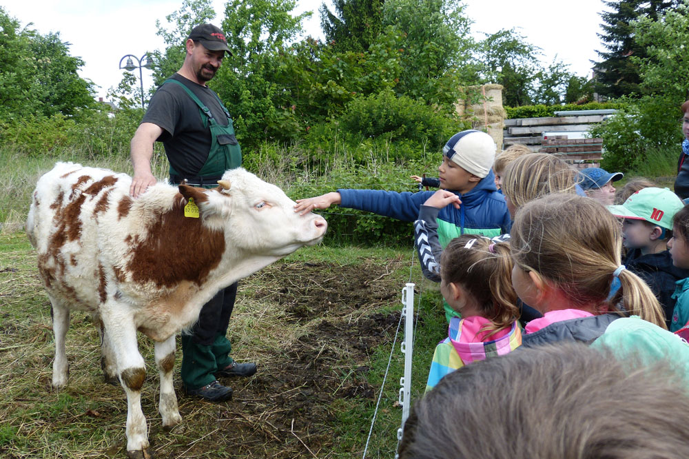 Mit dem Ökolöwen können Kinder BioBauern über die Schulter schauen. Foto: Ökolöwe