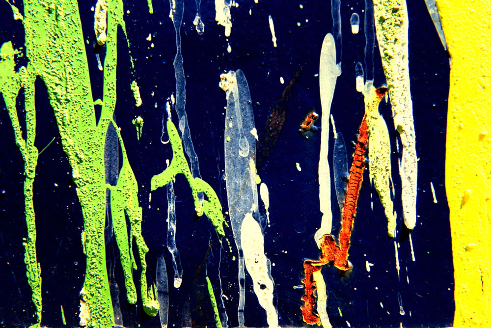 Farbvögel. © Dorit Radmacher