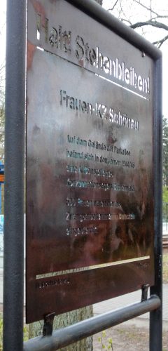 Vielleicht hält der frische Ölfilm in der nächsten Zeit ambitionierte Graffiti-Freaks von weiteren Attacken ab. Foto: Gustav Peinel