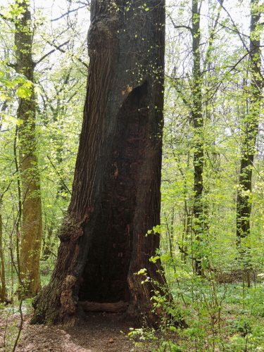 Die Spuren einer unverständlichen Zerstörungswut. Foto: Matthias Ladusch