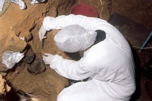 Auch in der Höhle El Sidrón in Spanien haben Forscher DNA-Spuren im Boden gefunden. Foto: El Sidrón Forschungsteam
