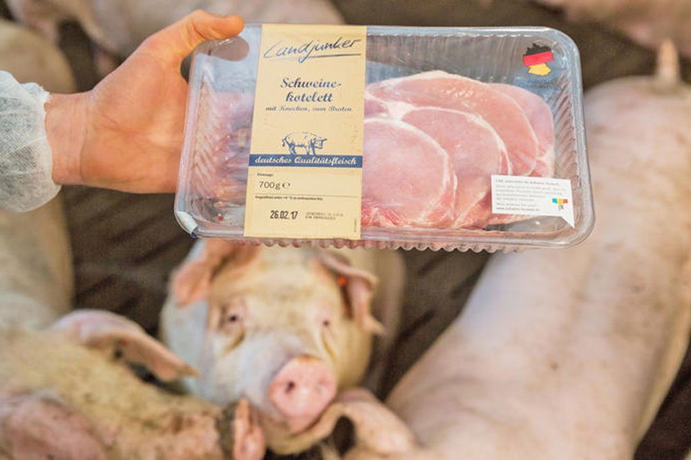Bezieht Lidl Fleisch aus Ställen, in denen die Tiere keinen Auslauf, kaum Tageslicht und Gen-Futter im Trog haben? Foto: Fred Dott