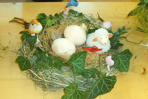 Foto: Schulbiologiezentrum