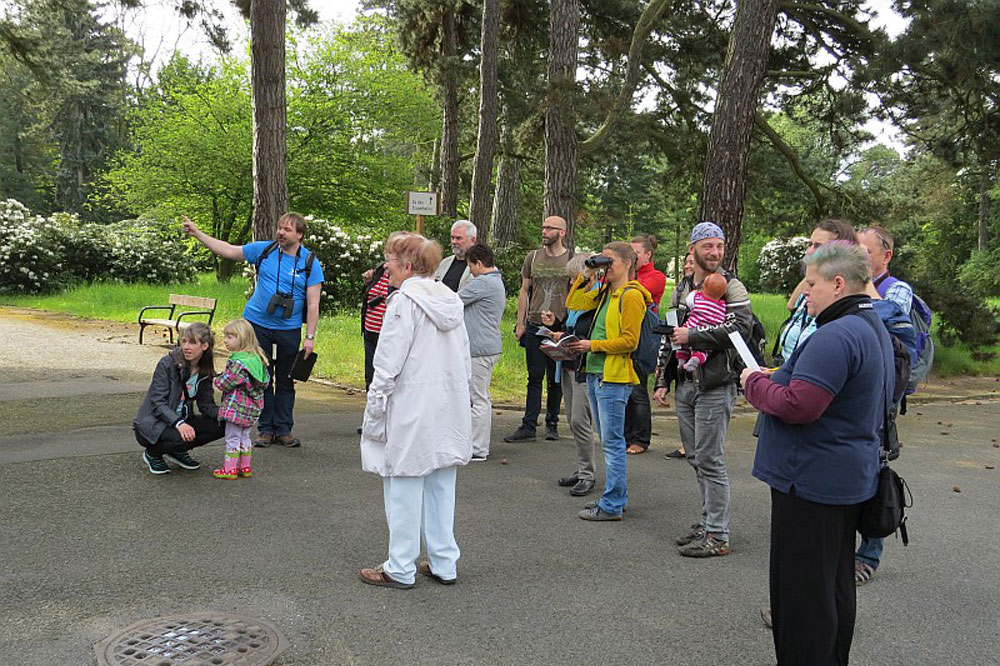 Exkursion zur Stunde der Gartenvögel auf dem Südfriedhof. Foto: Karsten Peterlein