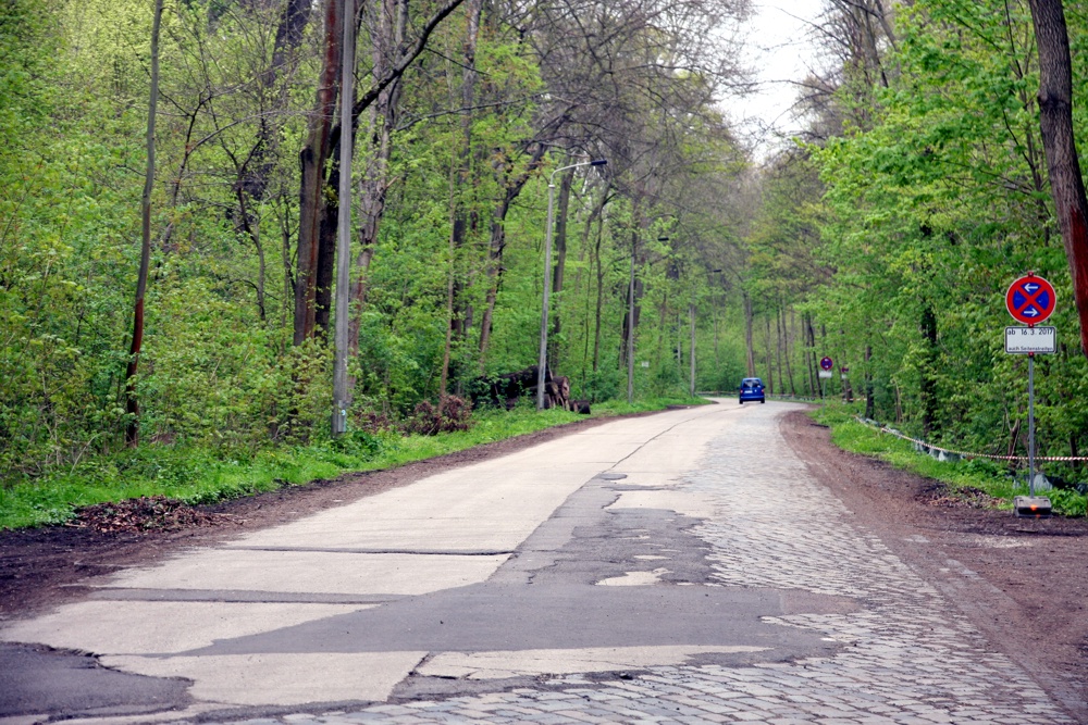 Wieder vermehrt Zecken unterwegs. Foto: LZ