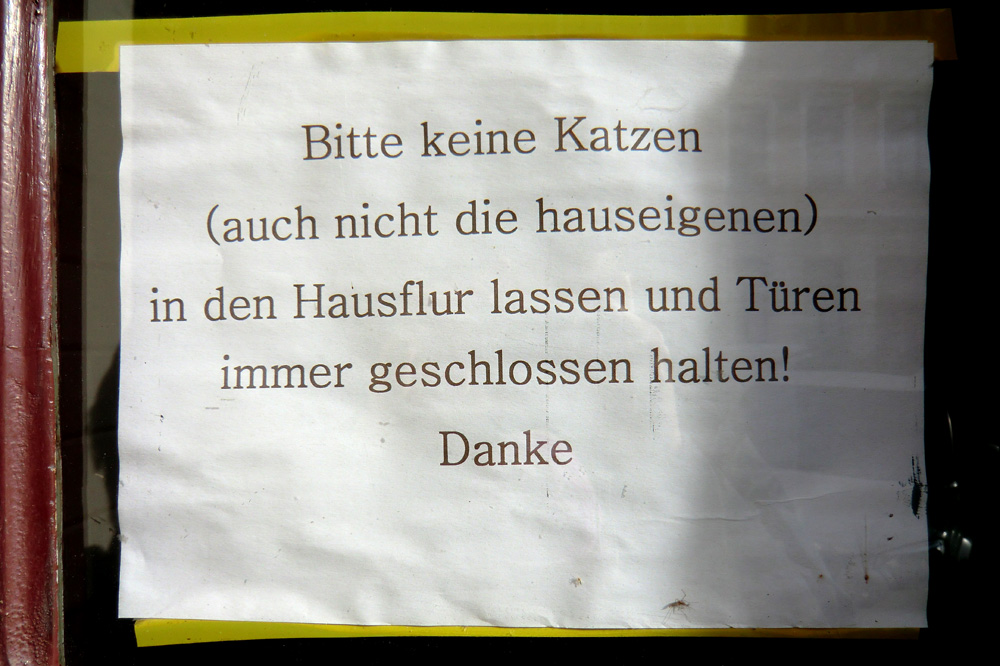 Bitte keine Katzen ... Foto: Marko Hofmann