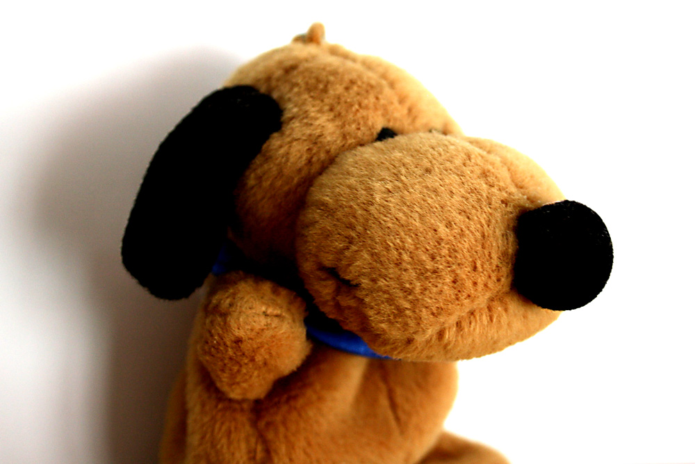 Gehört nicht auch ein Hund zwingend zur Leitkultur? Foto: Ralf Julke