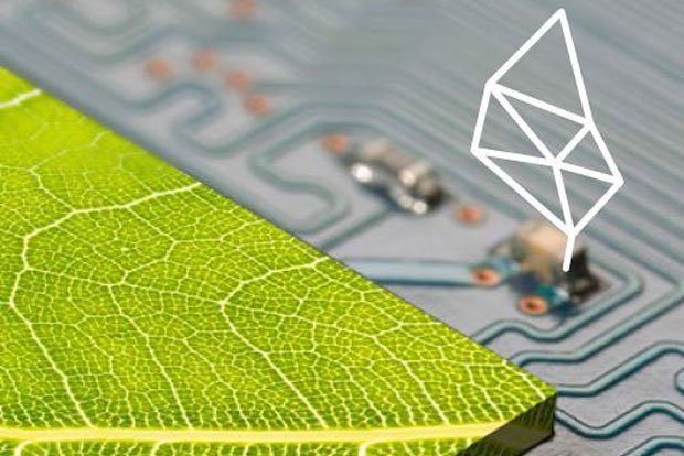 Auszug Flyer. Foto: SMUL