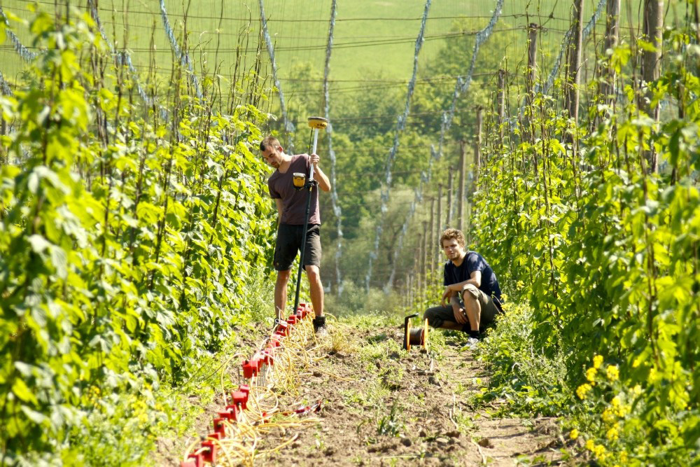 Mit elektrischer Widerstandstomographie können im Untergrund verborgene Sedimentstrukturen sichtbar gemacht werden. Foto: Mathias Ulrich/Universität Leipzig