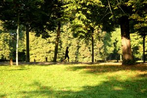 Jogger im Clara-Zetkin-Park. Foto: Ralf Julke