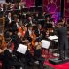 Das Orchester der Musikalischen Komödie. Foto: Oper Leipzig, Tom Schulze