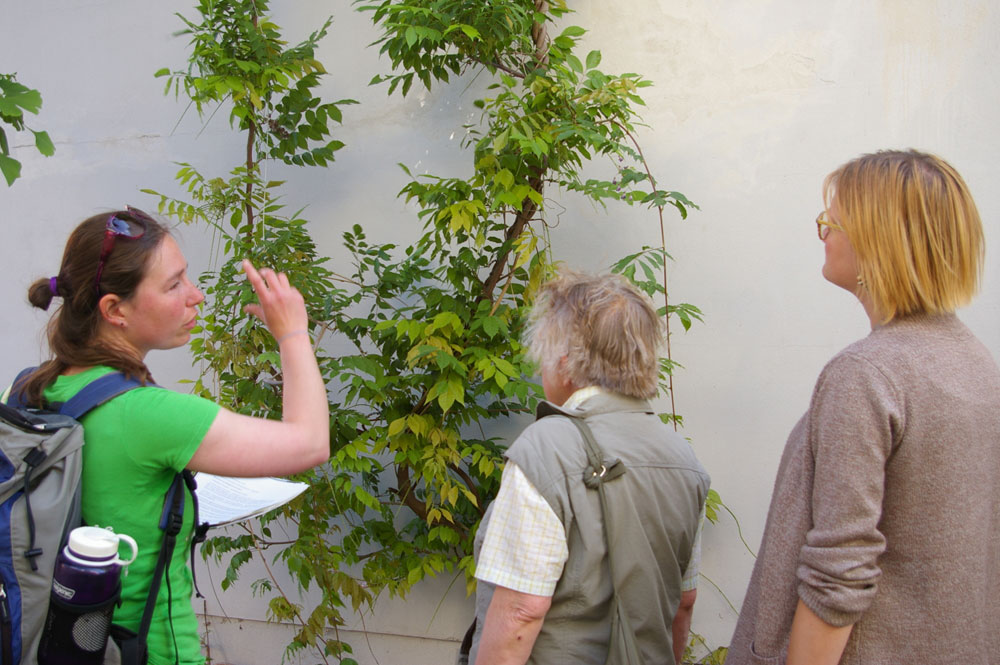 Ökolöwe berät bei Kletterfix-Rundgang. Foto: Ökolöwe – Umweltbund Leipzig e.V.