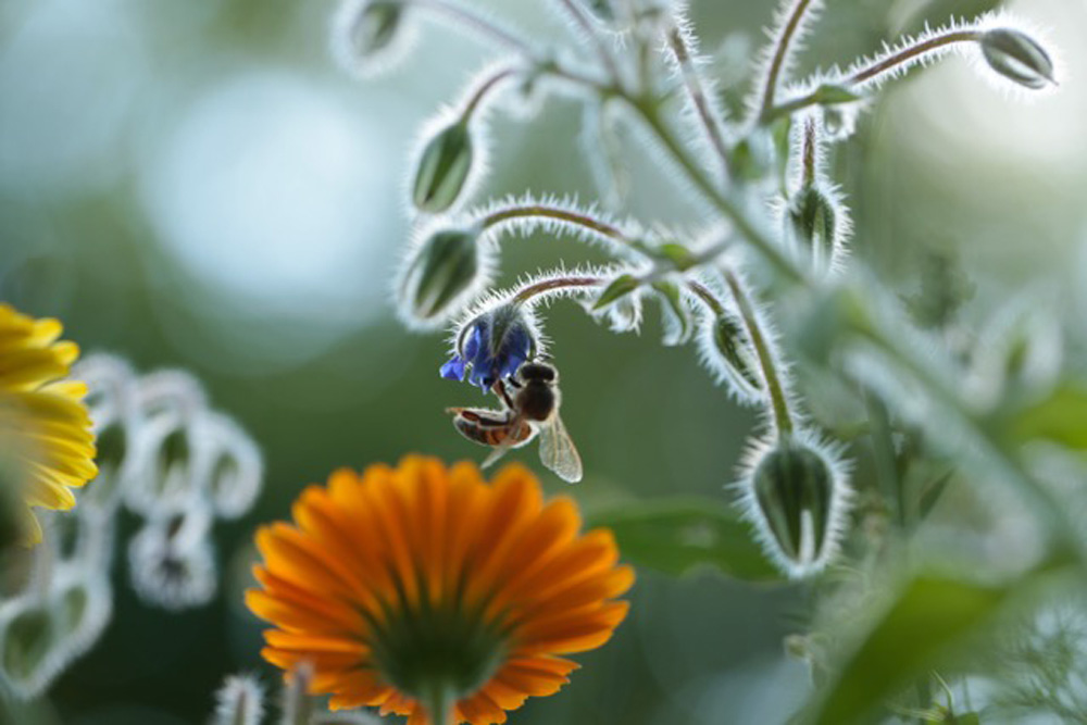 Ein Paradies auf Erden. Foto: asisi