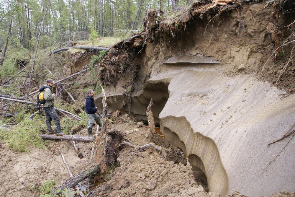 Durch starke Tau- und Erosionsprozesse freigelegte Permafrostablagerungen nahe der Siedlung Tabaga in Zentraljakutien. Foto: Dr. Mathias Ulrich/ Universität Leipzig