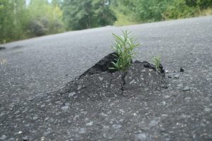 Gut in Form. Foto: Ralf Julke