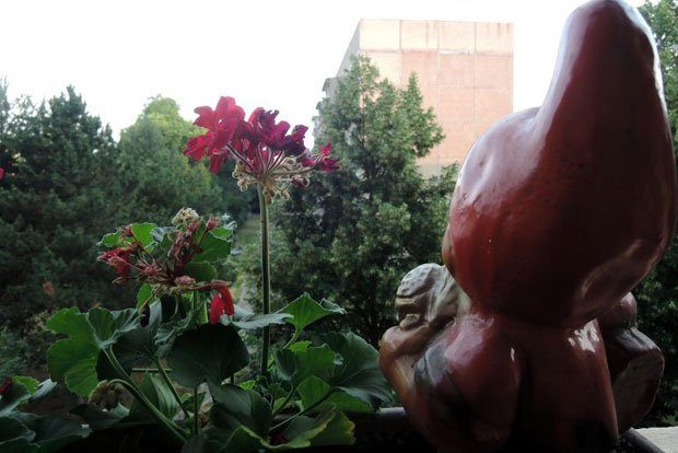 Expedition 9: Grünau – Weites Land. Foto: Leipziger Stadtteilexpedition