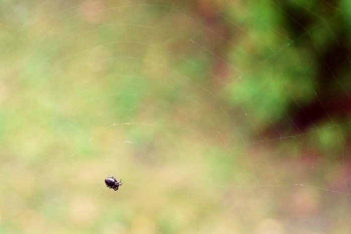 Facebook wird inhaltlich. Foto: Michael Freitag