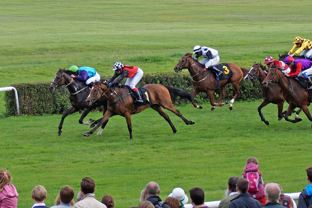 Mount Juliet im Endkampf vor Vieille Sorciere. Foto: Schwalbe