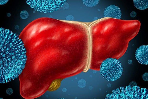 Hepatitis Viren greifen Leber an. Foto: Colourbox