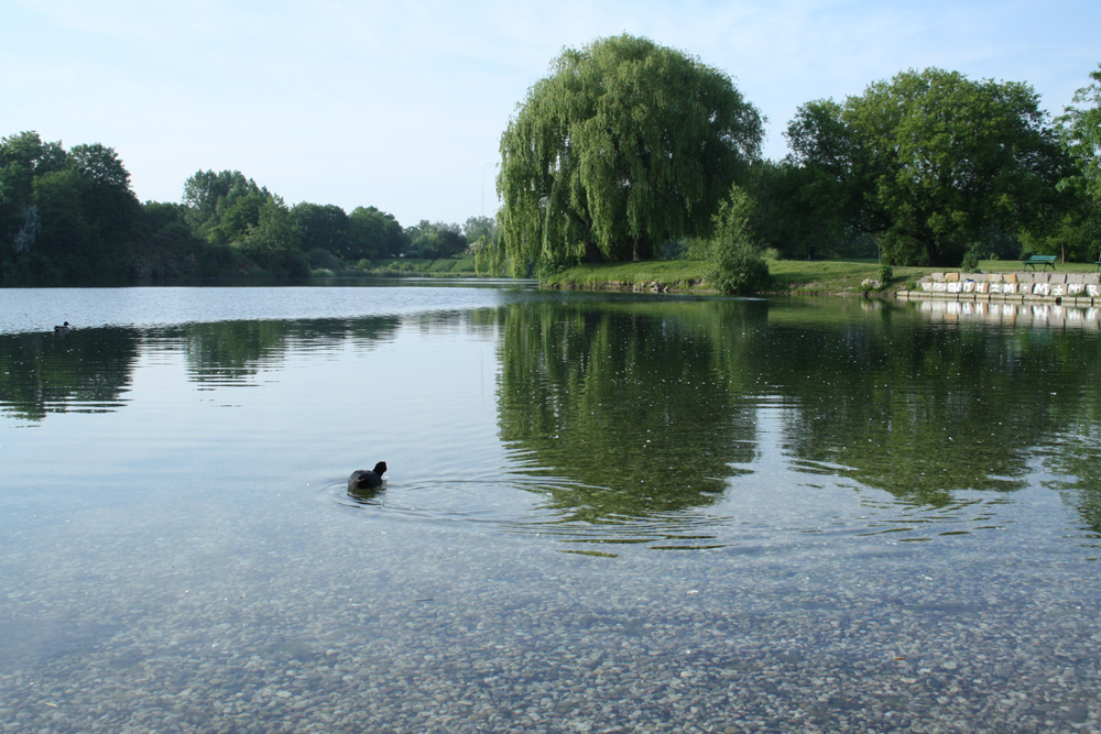 Bagger mit Ente. Foto: Ralf Julke