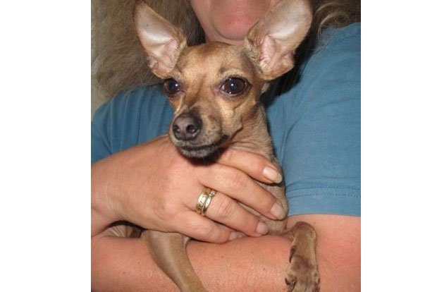 Cookie ist zurück! Foto: PD Leipzig