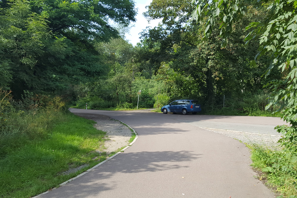 Am Nonnenweg: Wo Eschen standen, wuchert jetzt Niederholz. Foto: Marko Hofmann