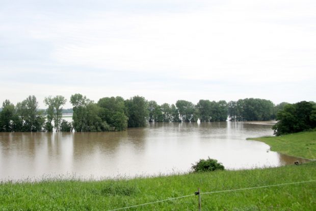 Hochwasser 2013 bei Groitzsch. Foto: Matthias Weidemann