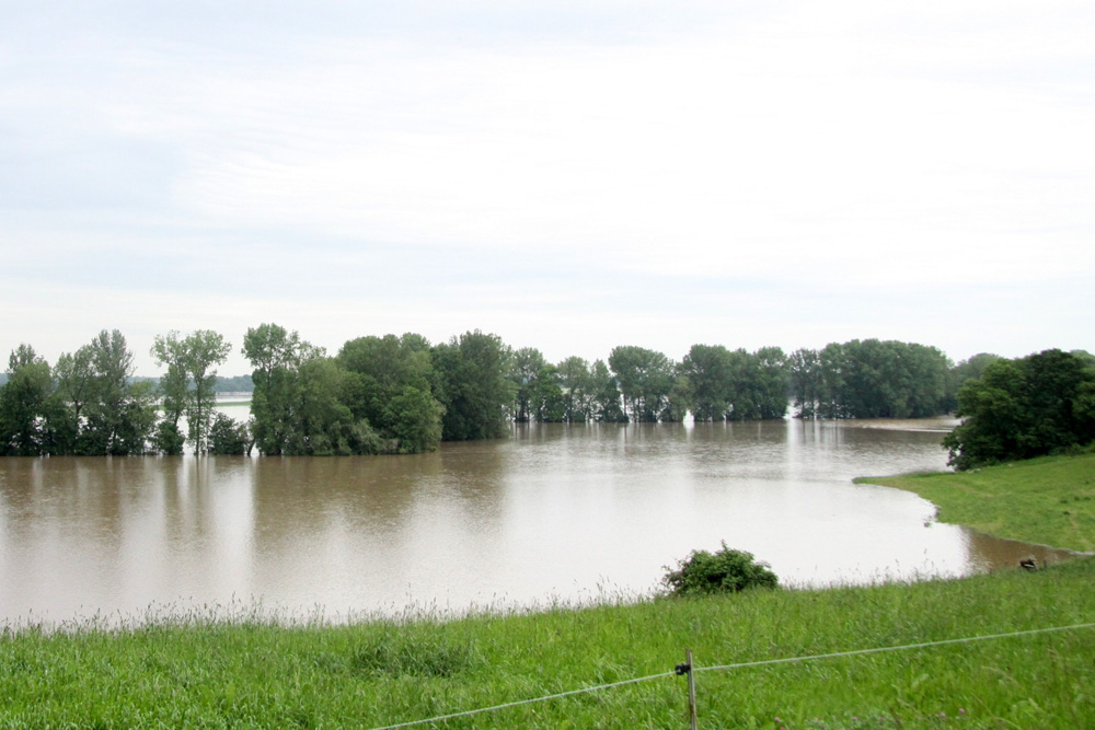 Hochwasser 2013 bei Groitzsch. Foto: Matthias Weidemann