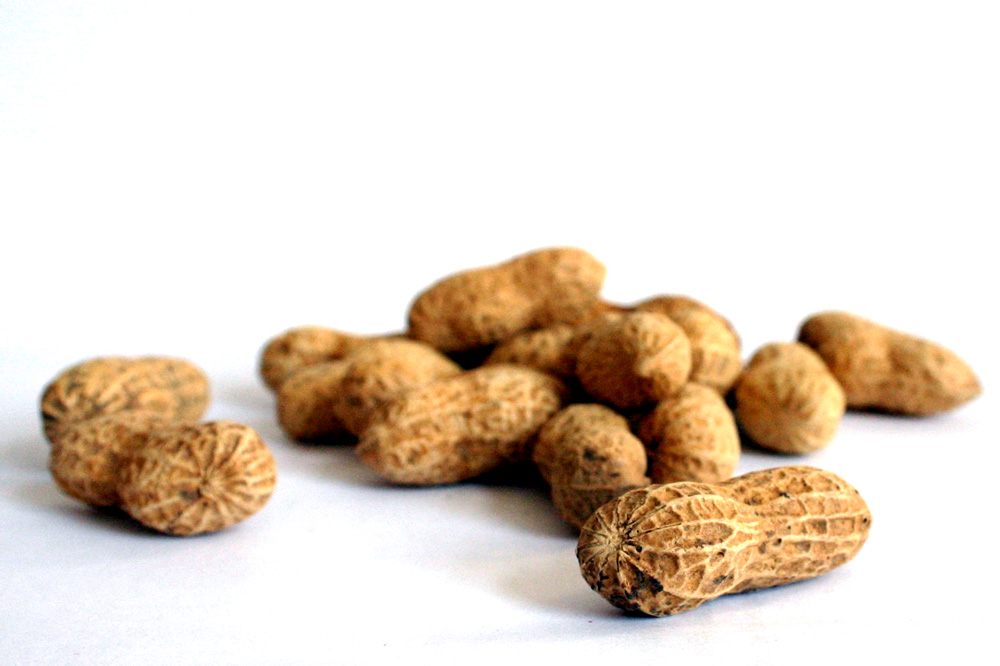 Peanuts. Foto: Ralf Julke