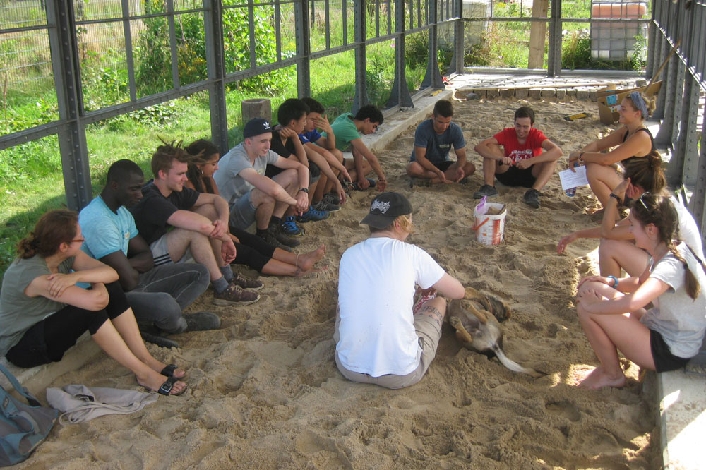 Workcamp Gruppentreffen. Foto: Stiftung „Ecken wecken“