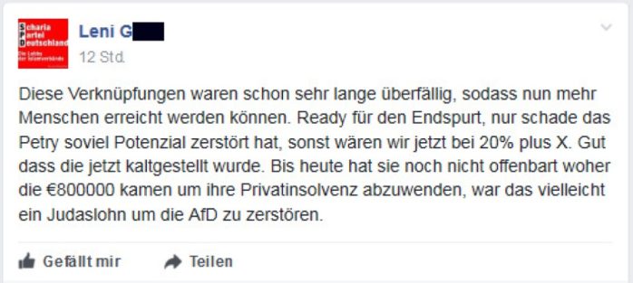 Freude über die Zusammenlegung der Seiten und Kritik an Petry. Screen Gruppenseite "Die PARTEI"