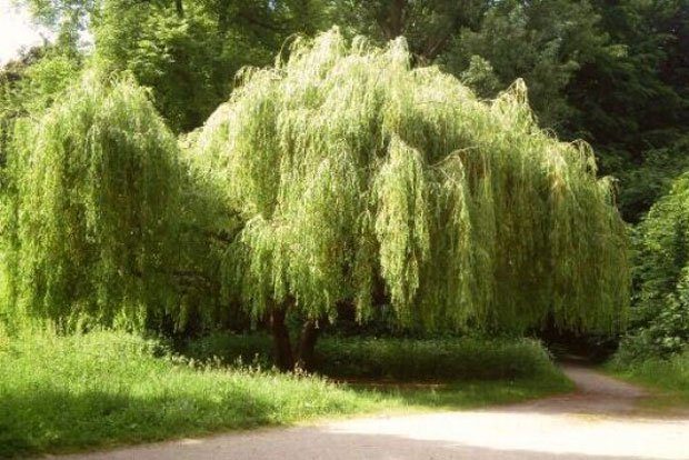 Spielplatz Marienweg. Foto: Stadt Leipzig