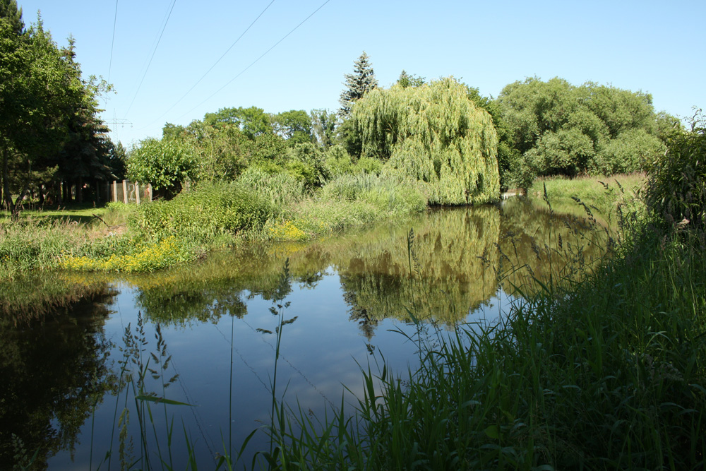 Mäander der Weißen Elster. Foto: Ralf Julke