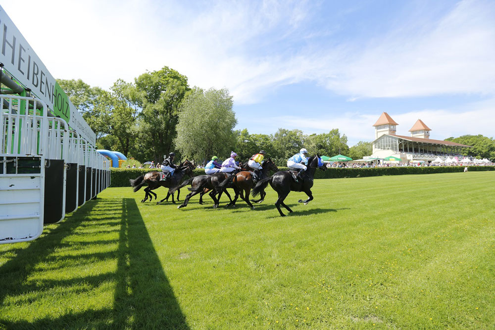 Acht Galoppentscheidungen stehen am 16. September auf dem Programm. Foto: Scheibenholz