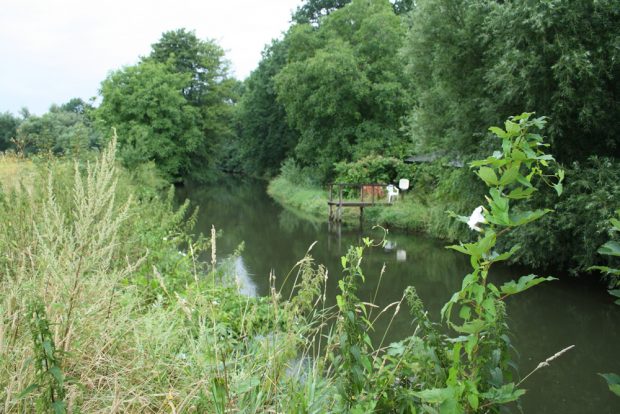 Mäander der Weißen Elster im Leipziger Nordwesten. Foto: Ralf Julke