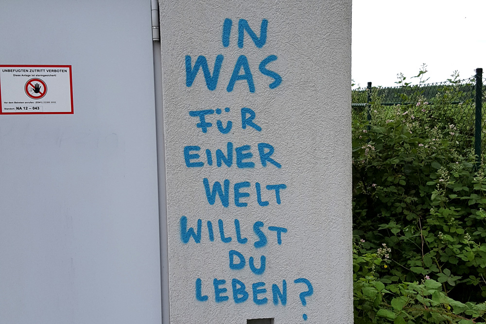 Die entscheidende Frage. Foto: Marko Hofmann
