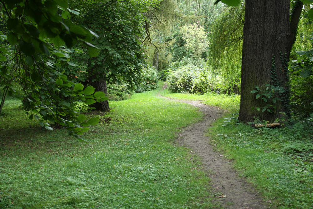 Weg im Zickmantelschen Mühlpark. Foto: Ralf Julke