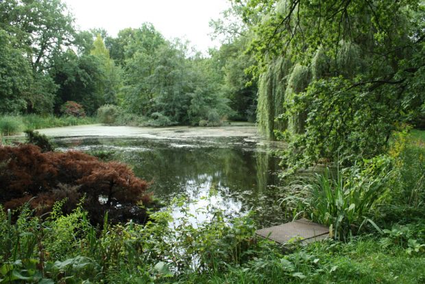 Der Teich im Zickmantelschen Mühlpark. Foto: Ralf Julke