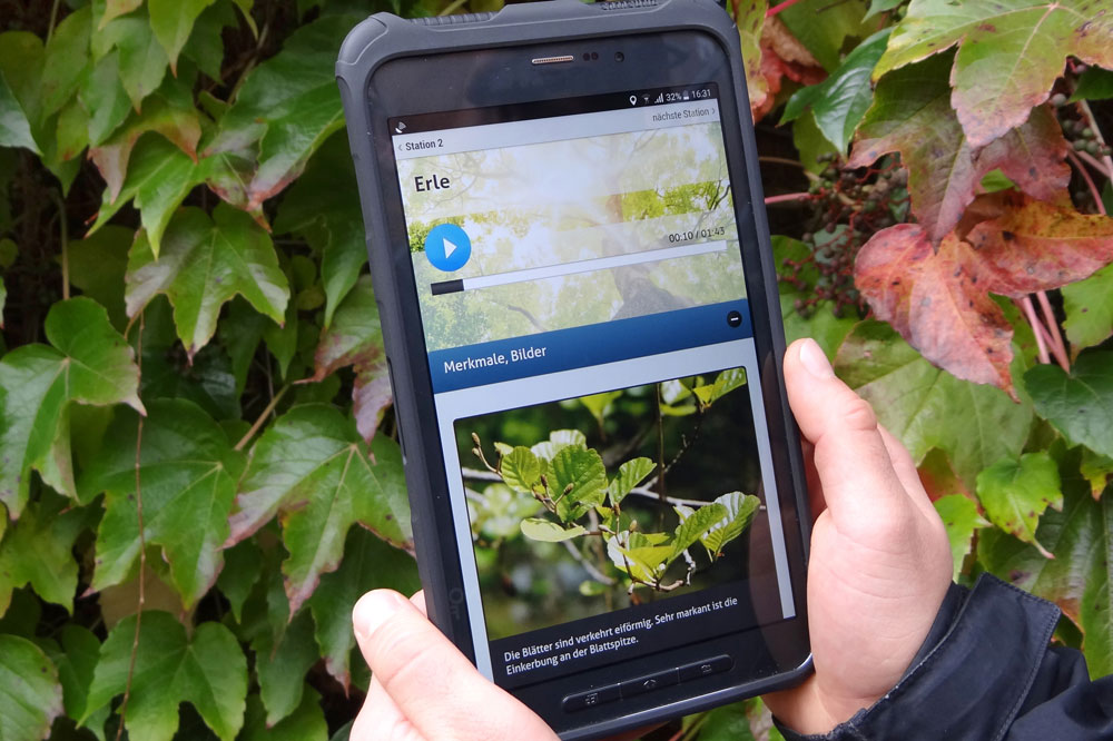 Auwald-Erlebnispfade. Foto: Auwaldstation