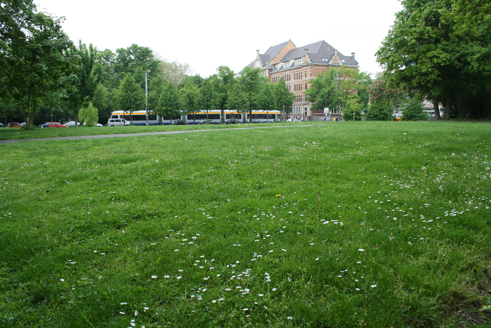 Beliebteste Liegewiese in der Südvorstadt: der Alexis-Schumann-Platz. Foto: Ralf Julke