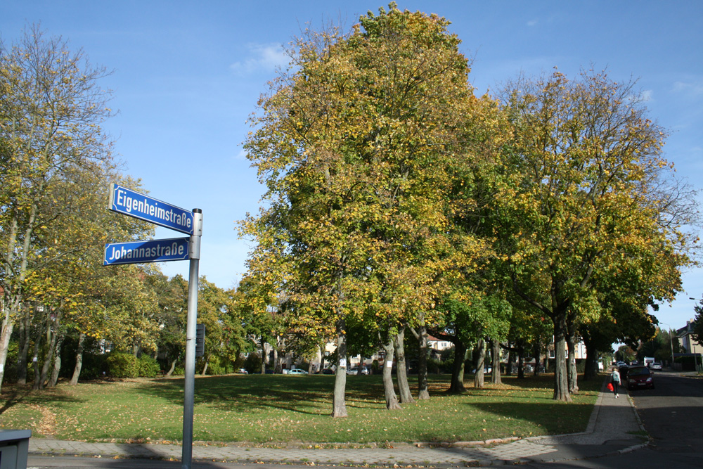 Die umkämpfte Grünfläche an der Eigenheimstraße. Foto: Ralf Julke