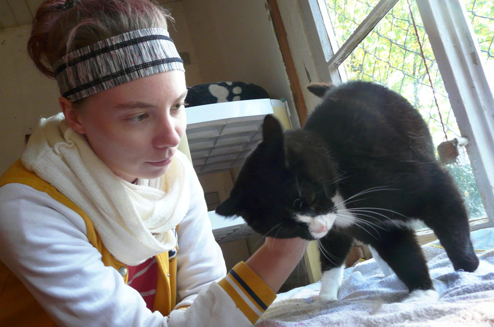 Freiwillige Helferin Adina mit Anton. Foto: IG Katzenschutz